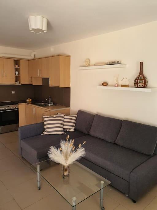 Korais Apartment, Chania Crete Kounoupidhiana Exterior photo